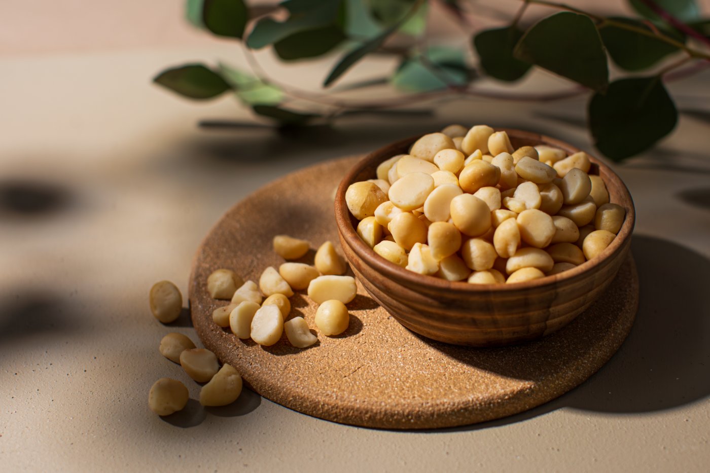 Macadamias in a wooden bowl